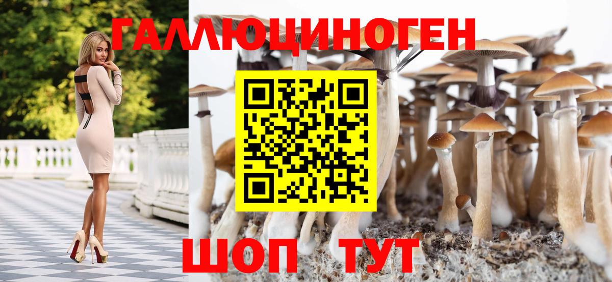 Галлюциногенные грибы ЛСД Каспийск